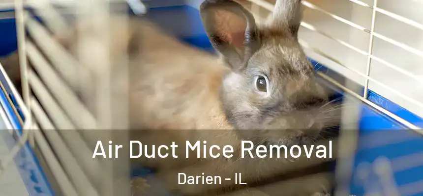  Air Duct Mice Removal Darien - IL