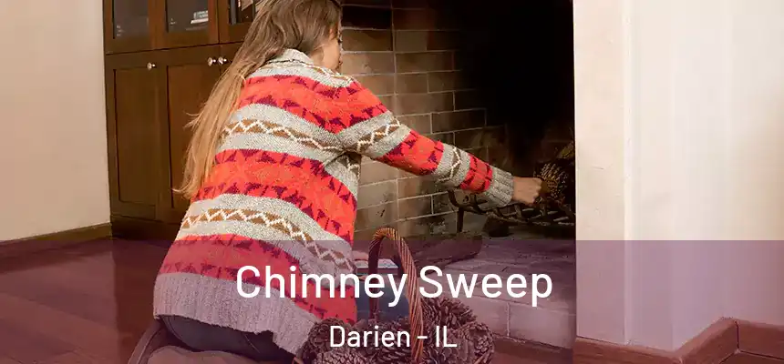 Chimney Sweep Darien - IL