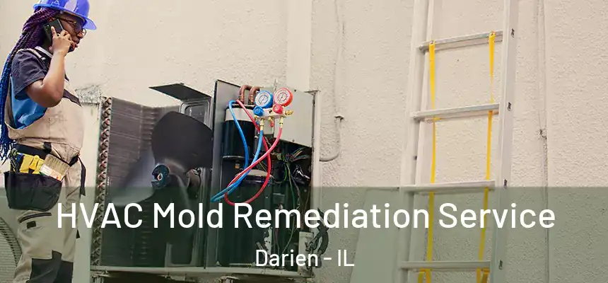 HVAC Mold Remediation Service Darien - IL