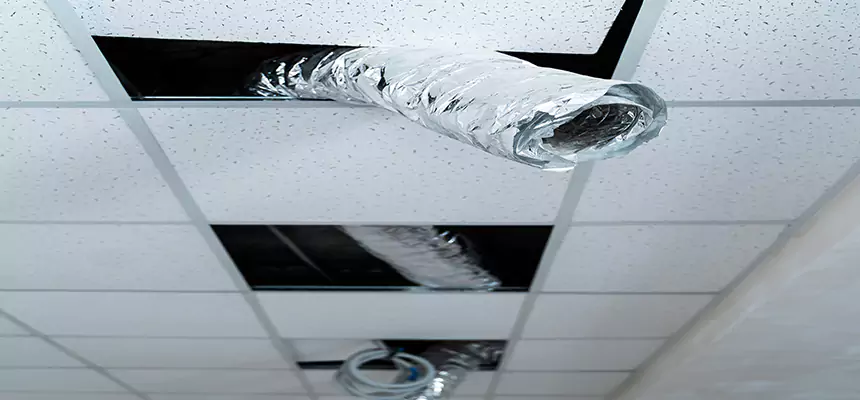 Our Air Duct Pet Hair Removal Services in Darien, IL