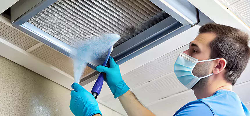 Proactive Dryer Vent & Auxiliary Duct Pollen Cleanup in Darien, IL