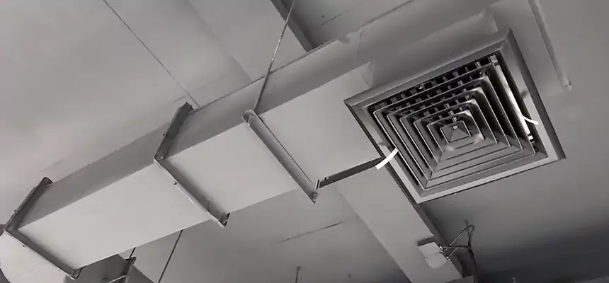 Our Pest Removal From Ducts Services in Darien, IL