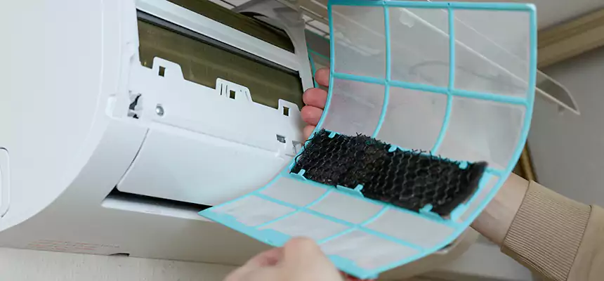 Gentle Ductwork Odor-Control Pet Dander Duct Cleaning in Darien, IL