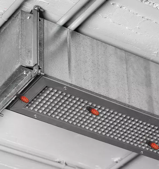 Affordable Insect Removal from Air Ducts in Darien, IL
