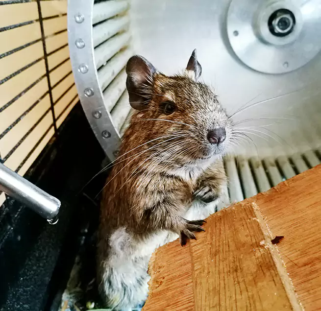 Why Homeowners & Businesses Trust Us Darien, IL?