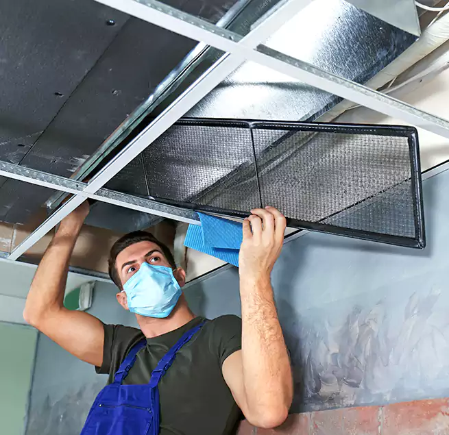 Why Homeowners Businesses Trust Us in Darien, IL