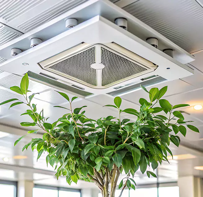 Why Homeowners & Businesses Trust Us in Darien, IL?